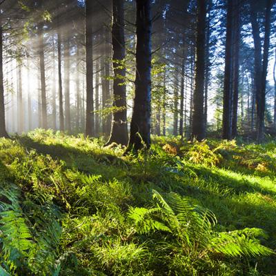 万博全站(ManBetX)下载手机版