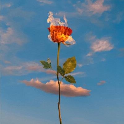 爱游戏全站app下载