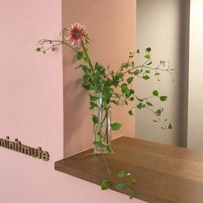 森林舞会游戏下截图