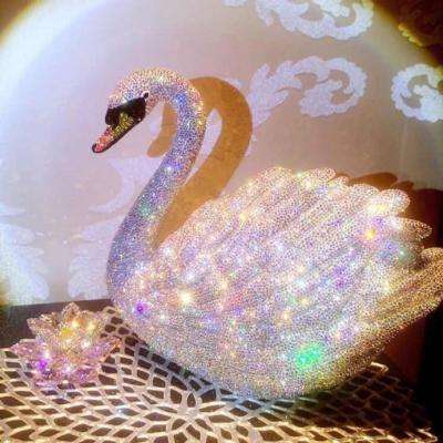 天天中彩票截图