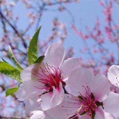 金年会棋牌截图